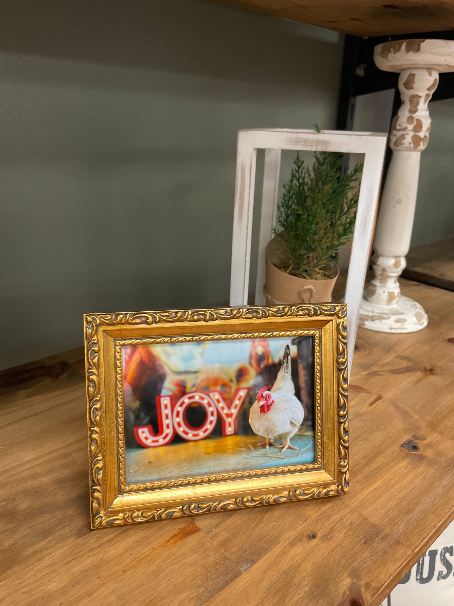 Joy - Golden Nugget frame