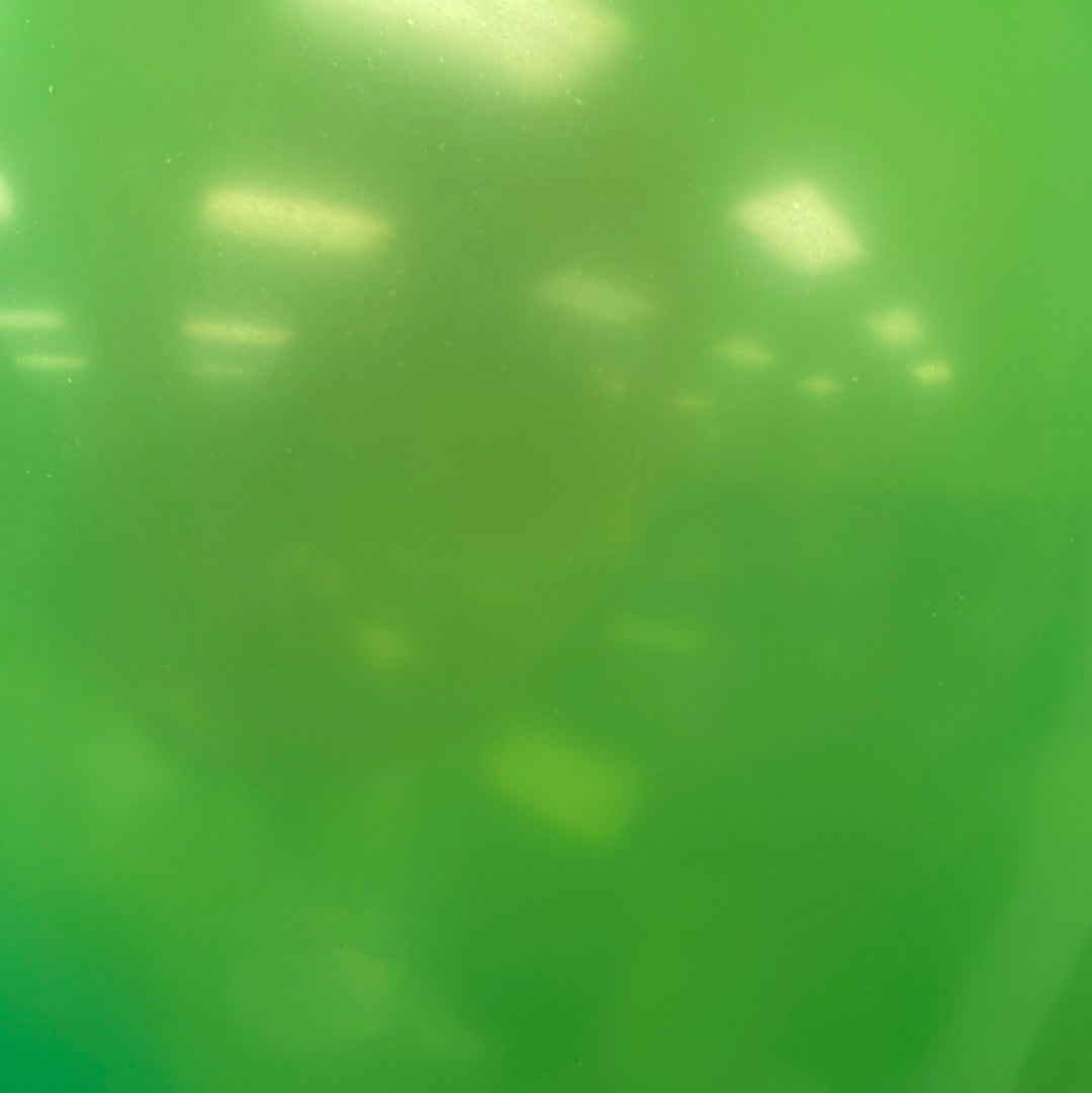 Latex Balloons - Asst Color Dozen - 11 inch