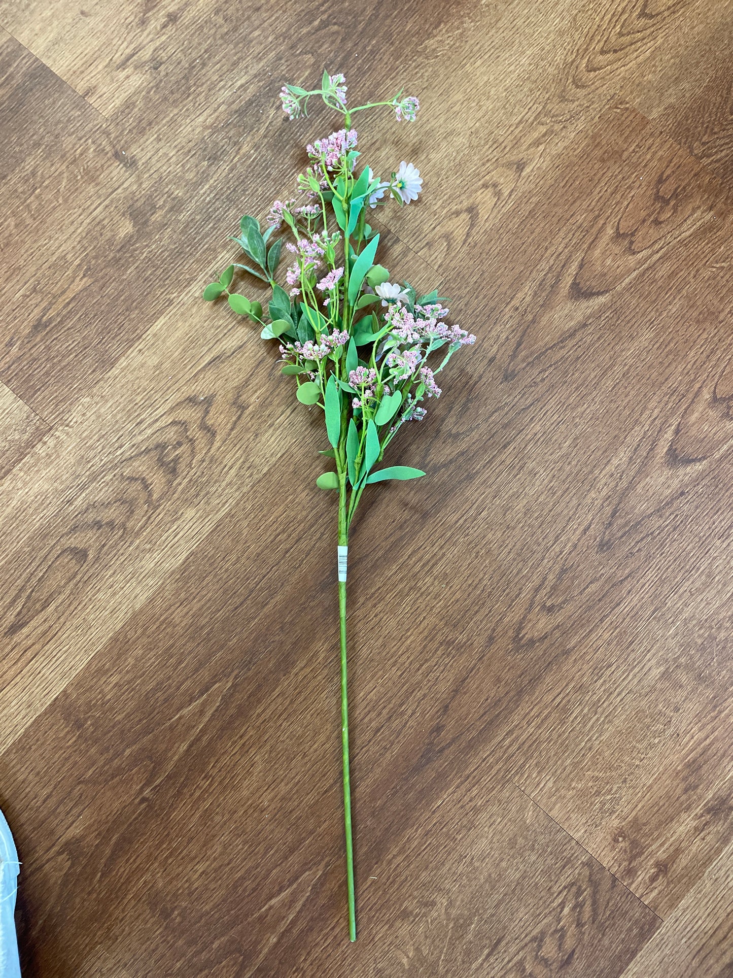 Pink Daisy Mix Long Stem