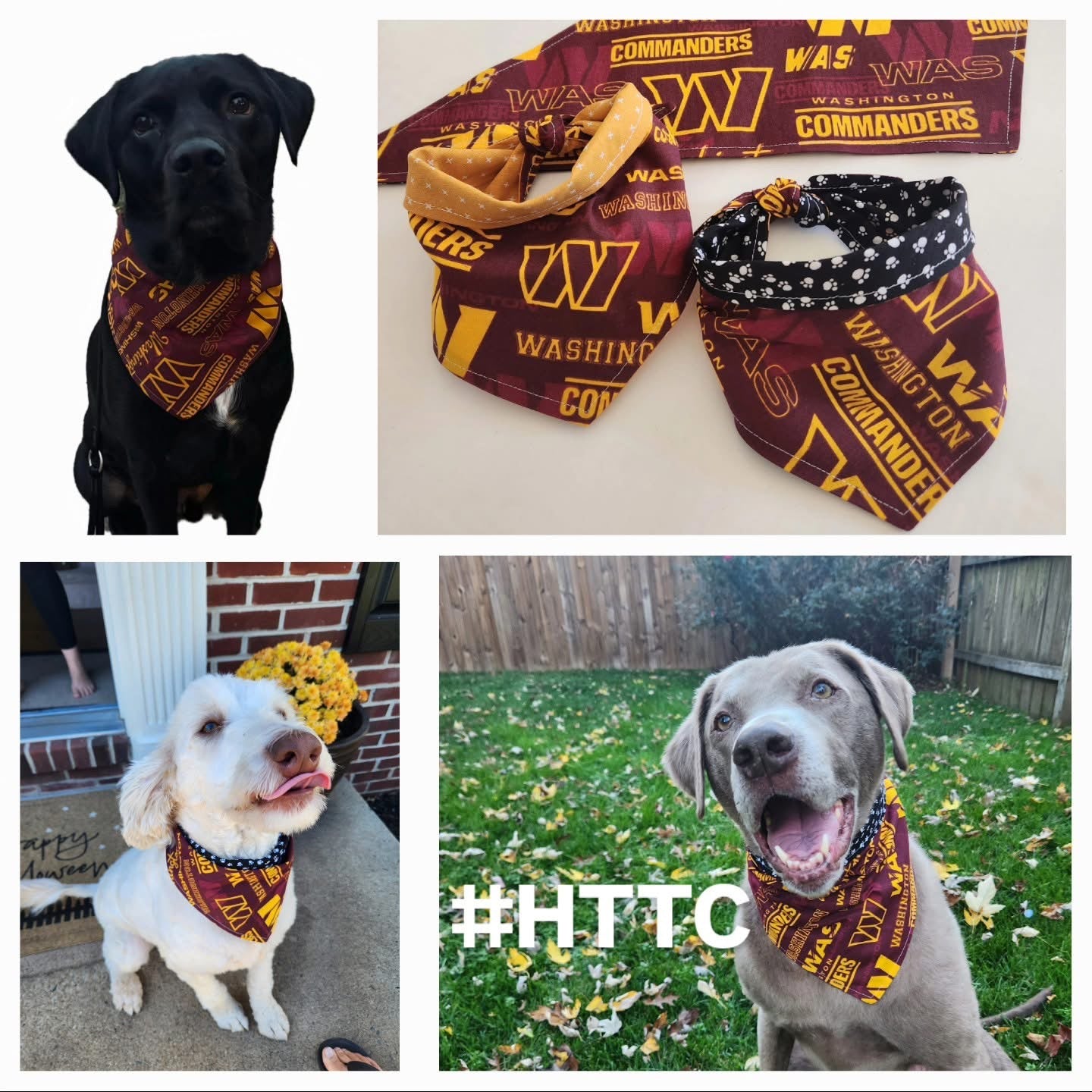 Bandana Washington Commanders