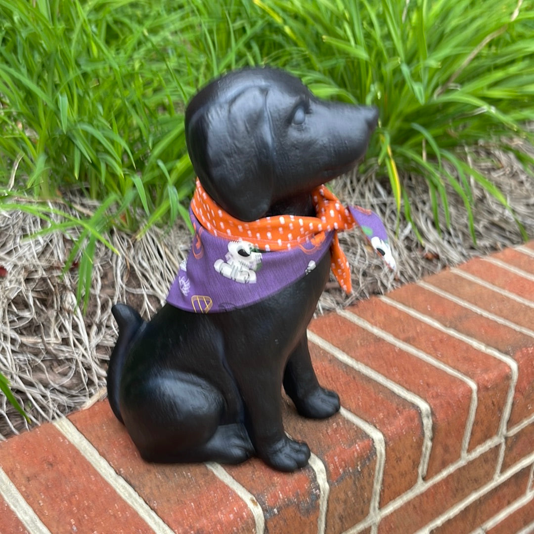 Purple Dog Halloween - Polka Dot