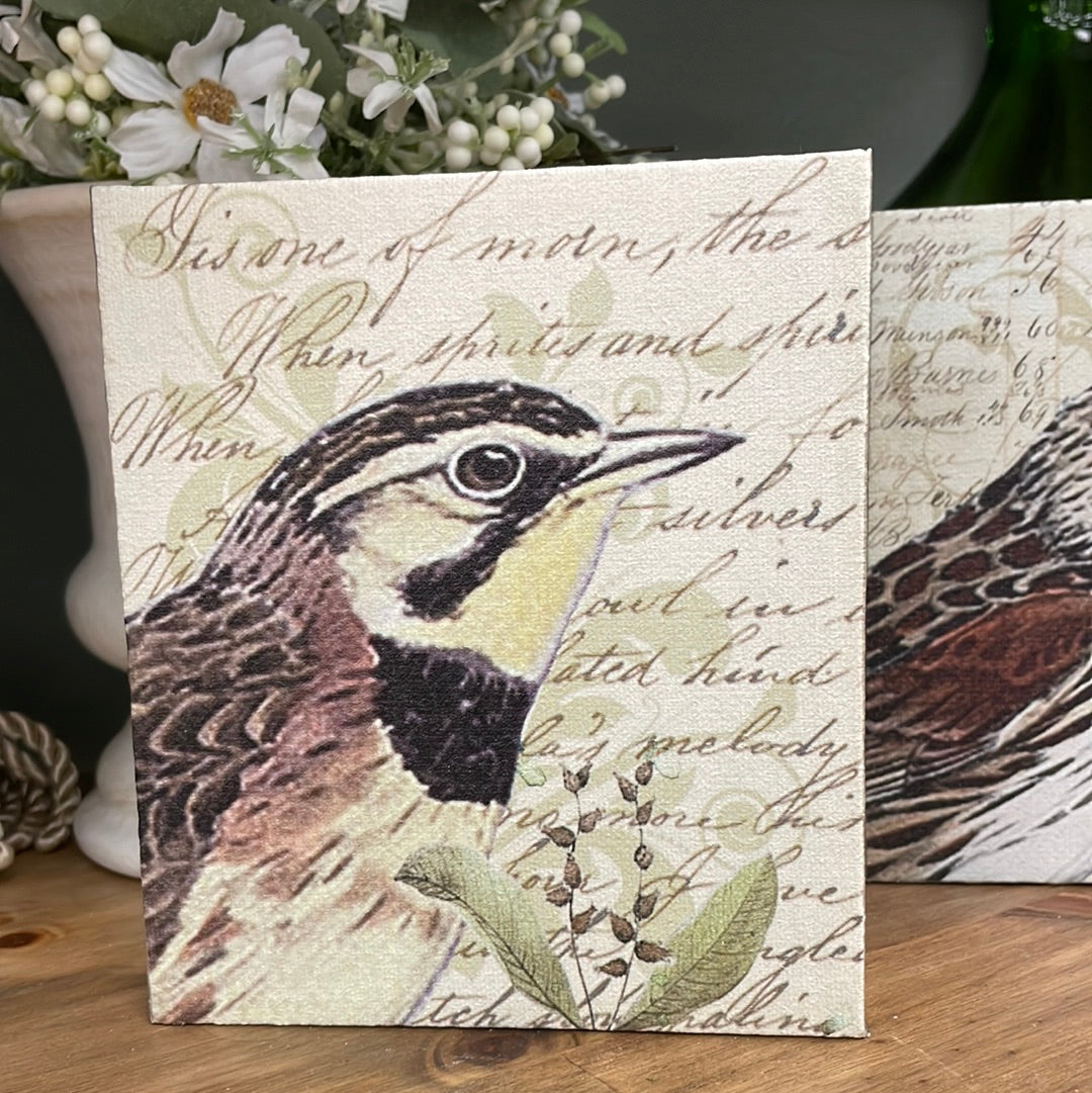 Bird Print