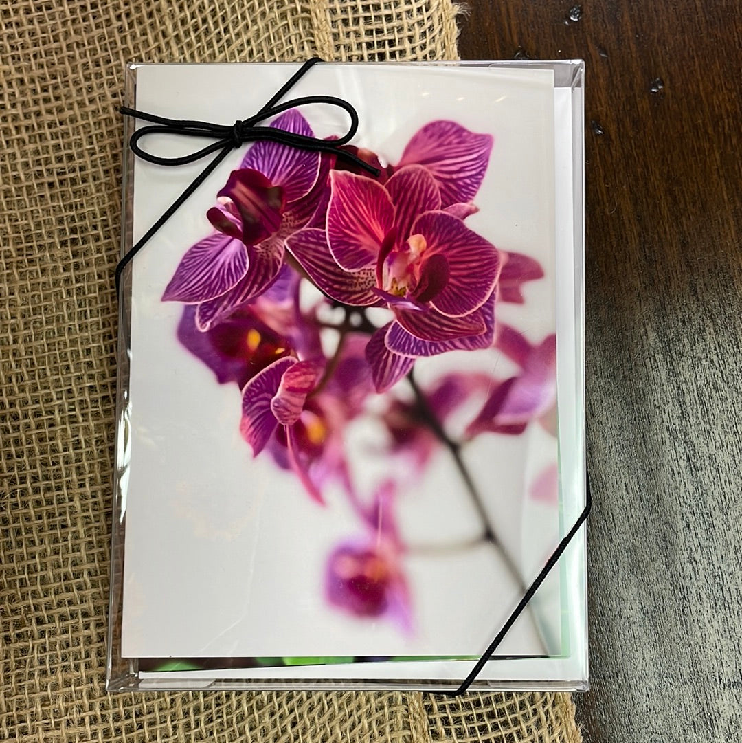 Boxed Card Set - Flower