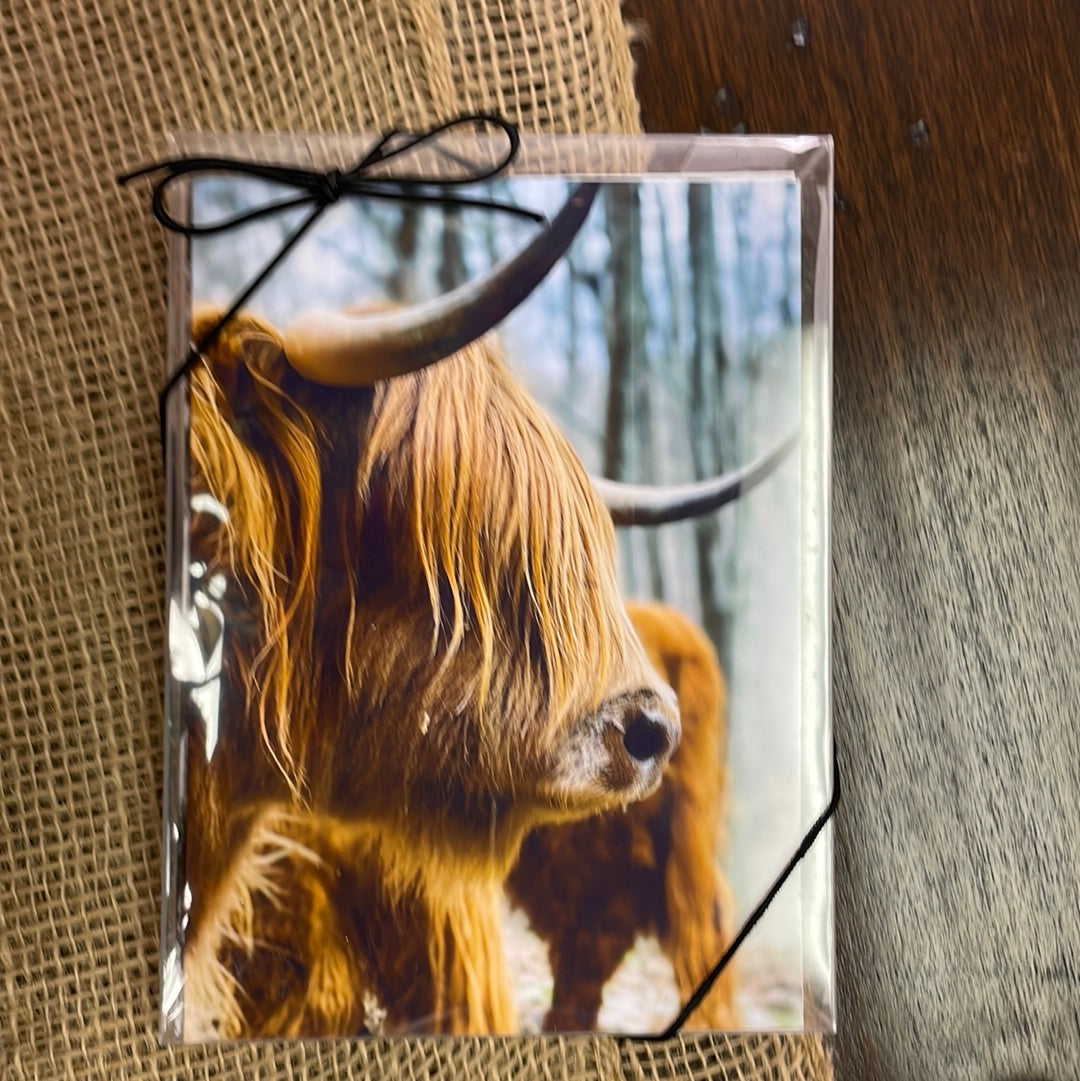 Boxed Card Set - Farm