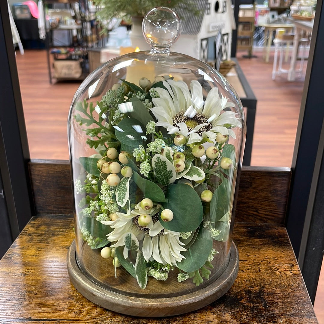 Glass Cloche w/wood base