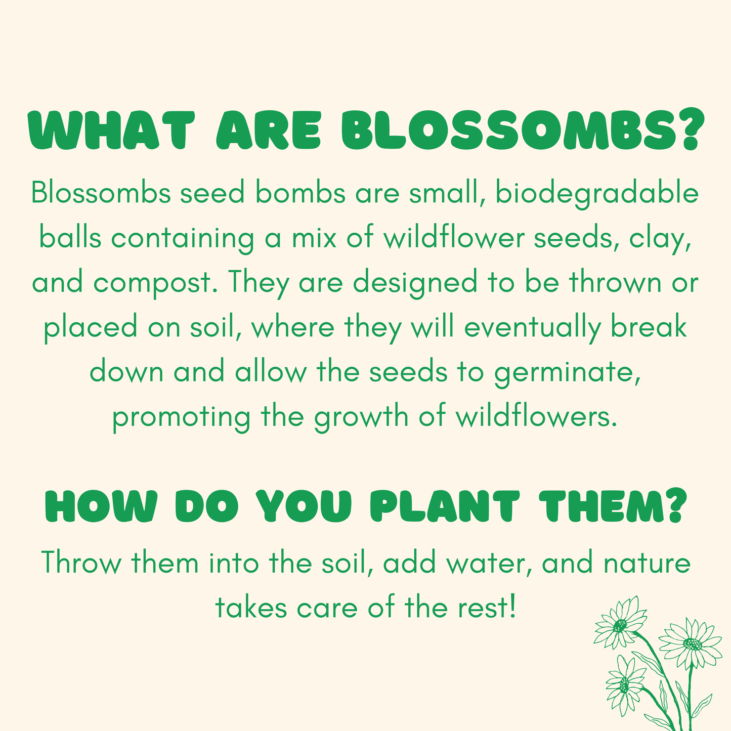 Blossombs Mini Box -Flowers For You