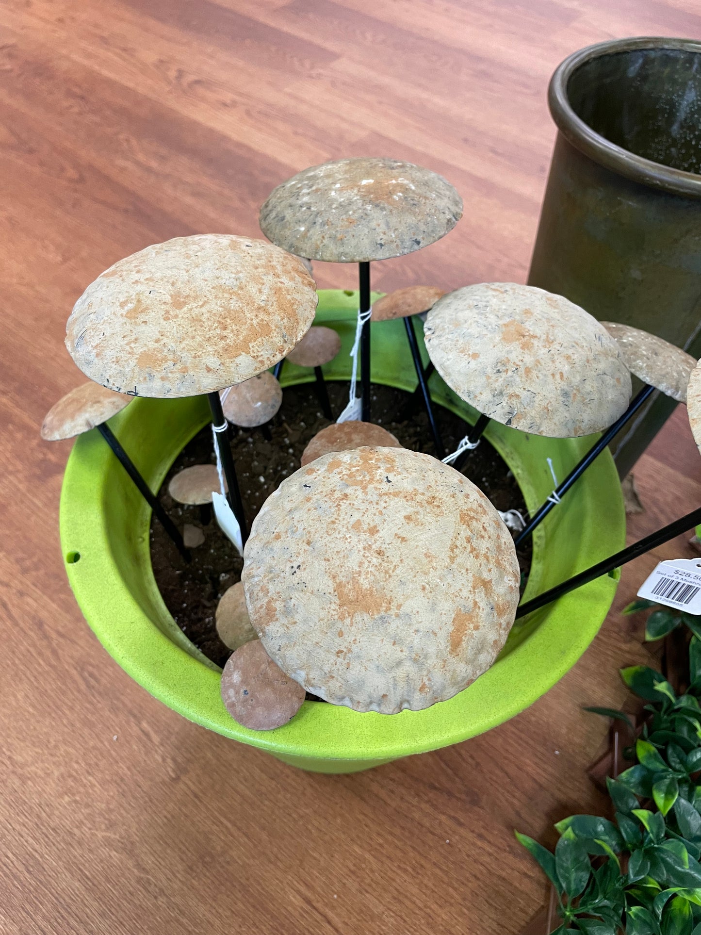 Set of 3 Mushrooms -