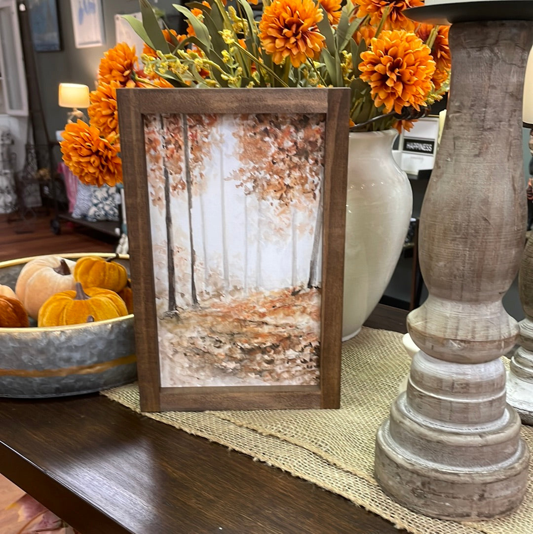 Autumn Forest