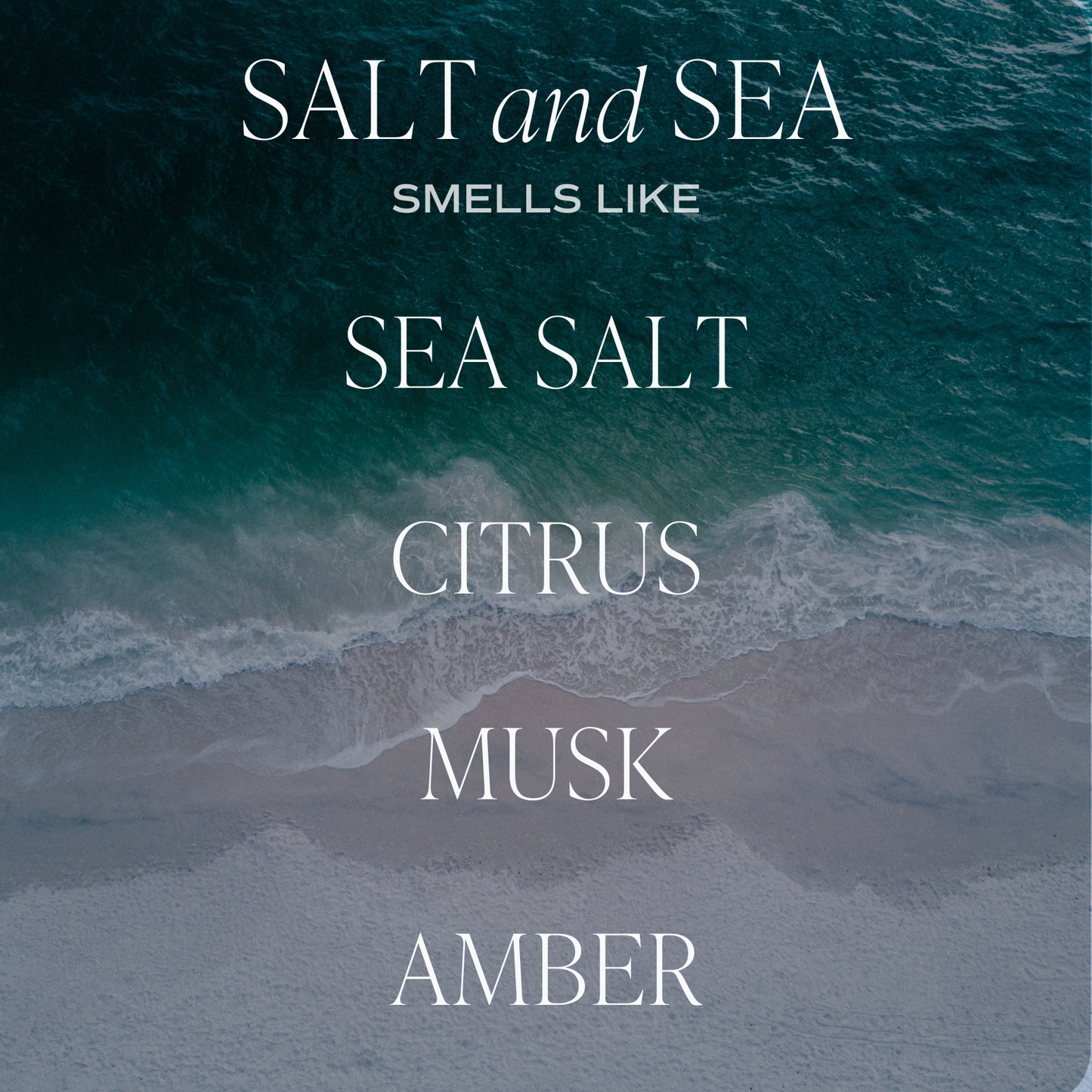 *NEW* Salt and Sea 12 oz Candle