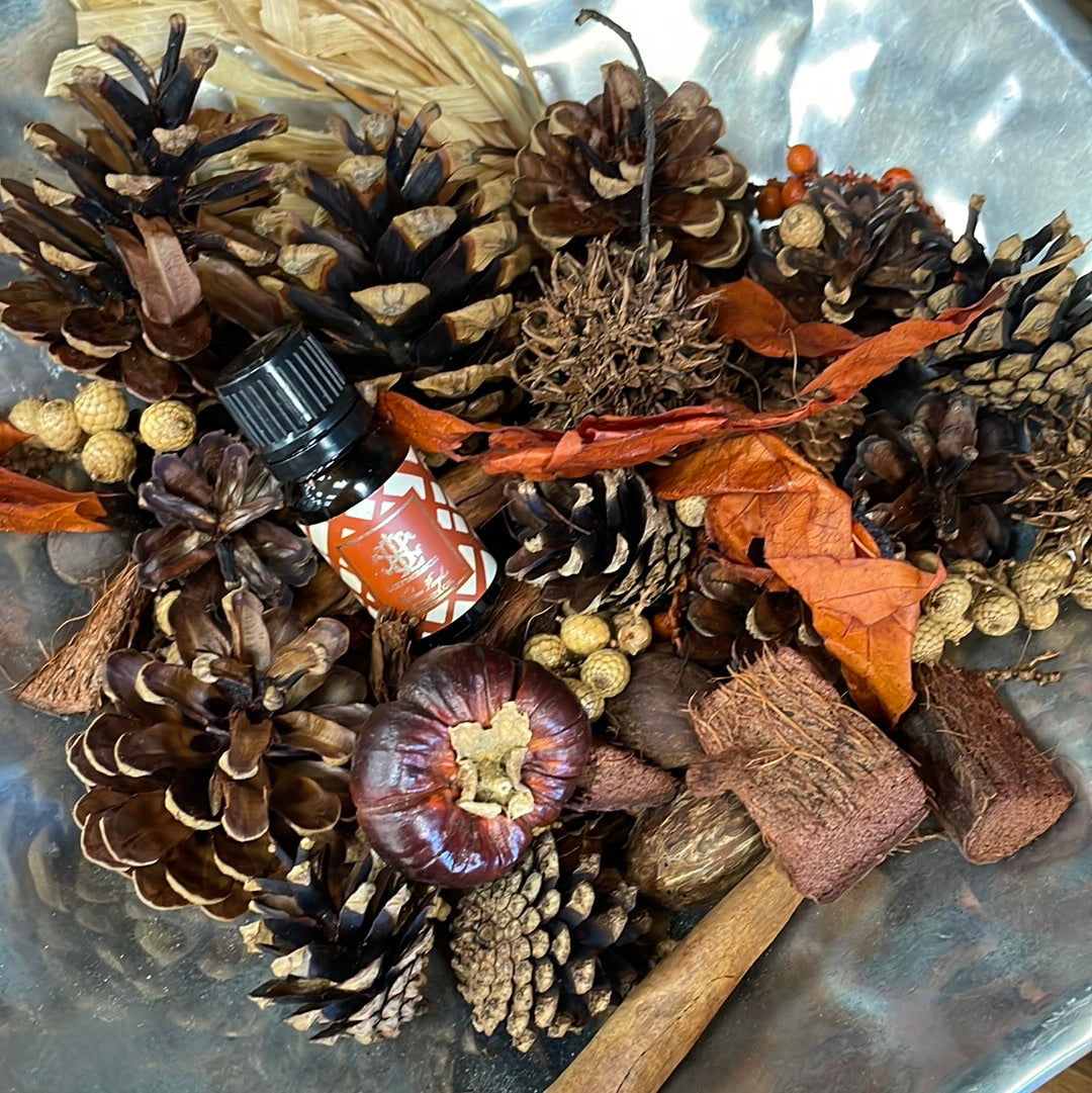 Heirloom Pumpkin Botanical in Copper Bowl