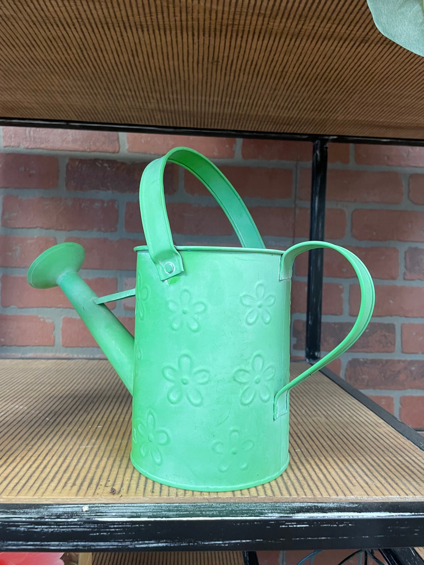 Green watering can with swing handle
