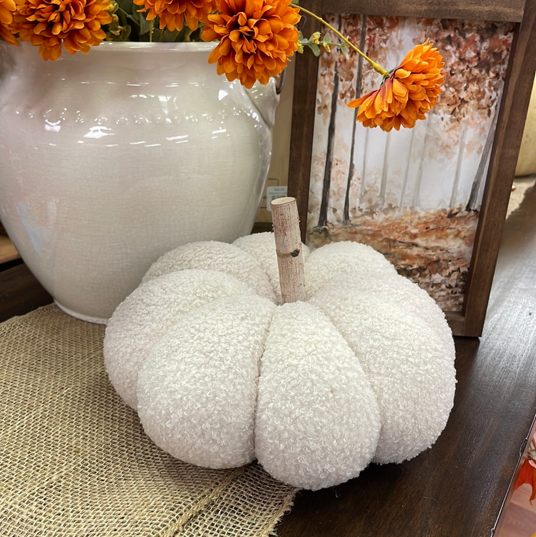 Cozy White Pumpkin with Birch Stem
