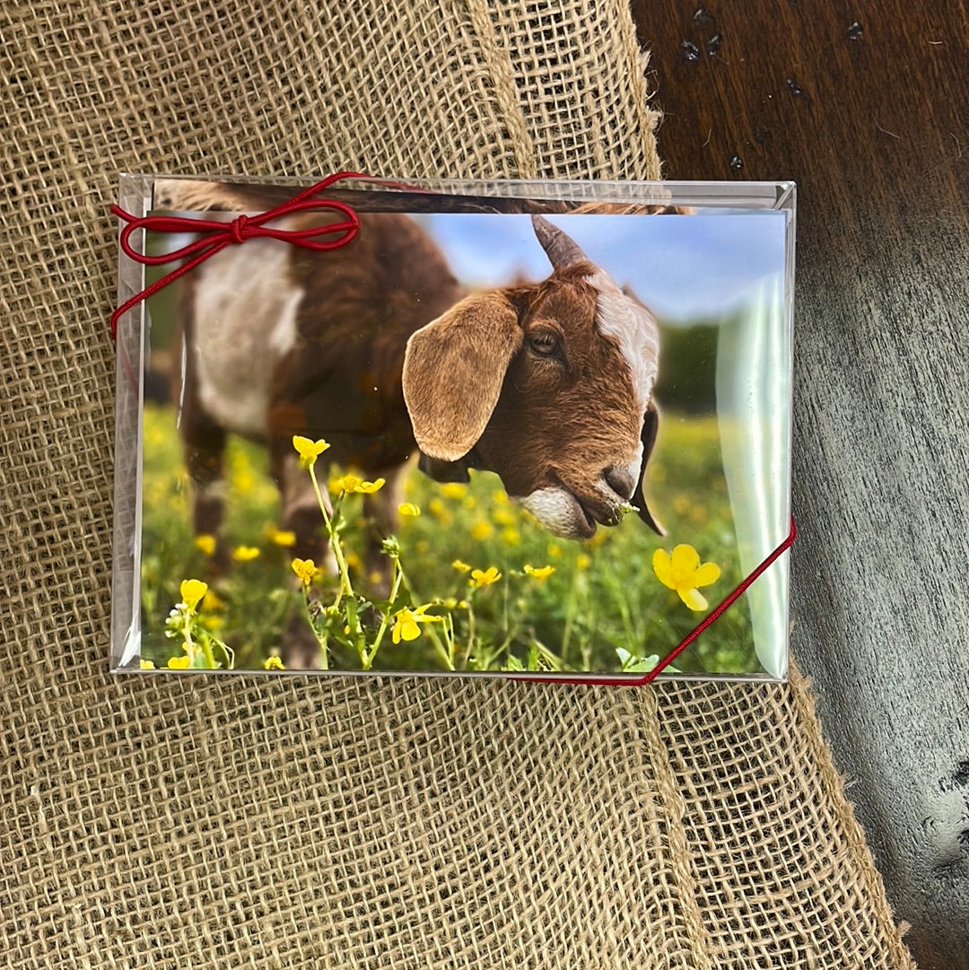 Boxed Card Set - Farm