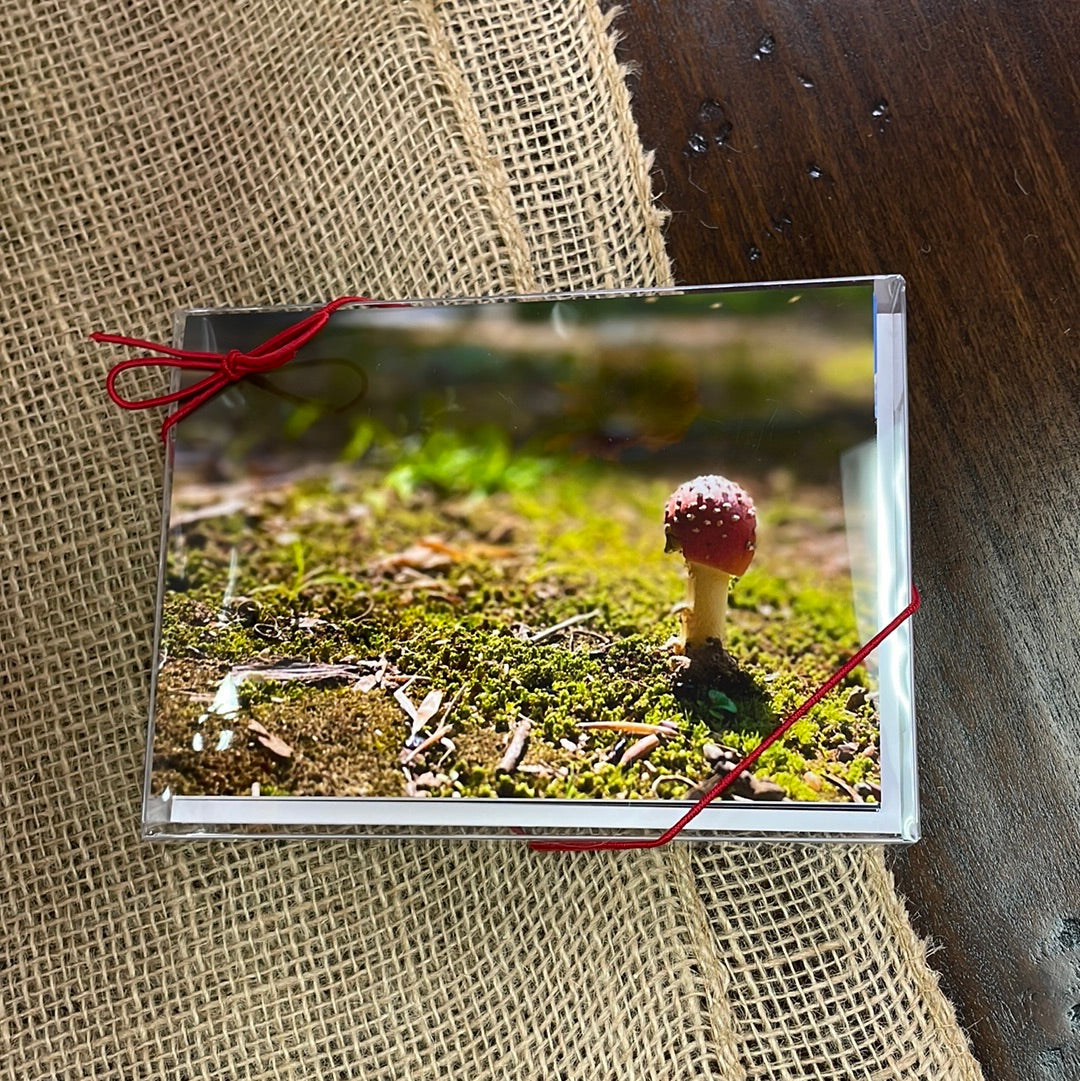 Boxed Card Set - Variety