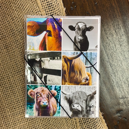 Boxed Card Set - Cows