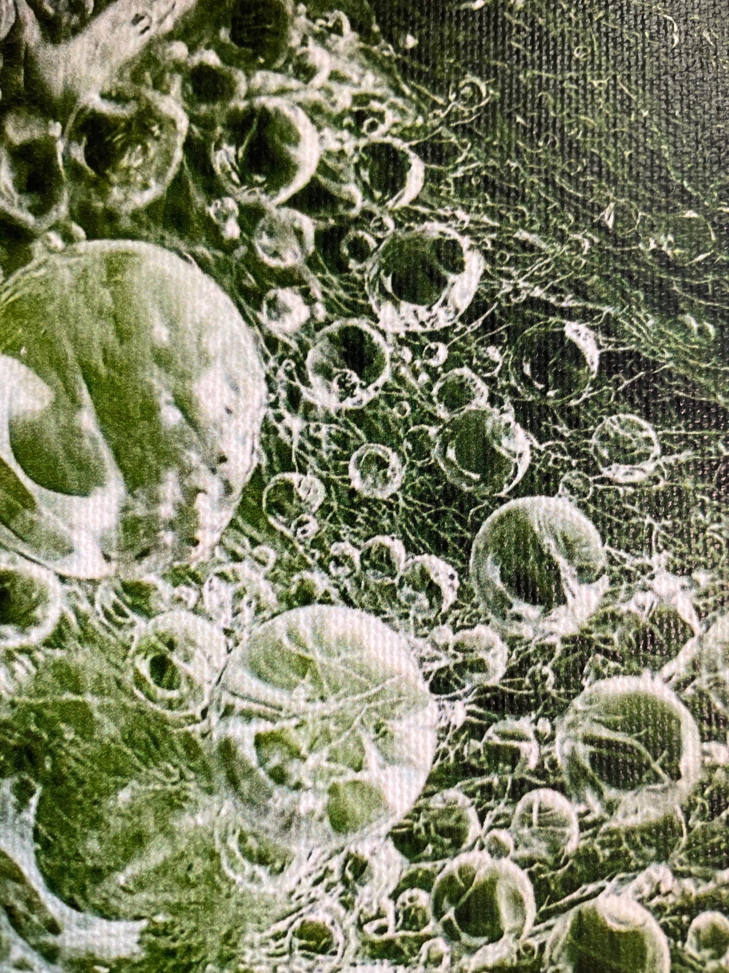 Mini Canvas - Green Bubbles