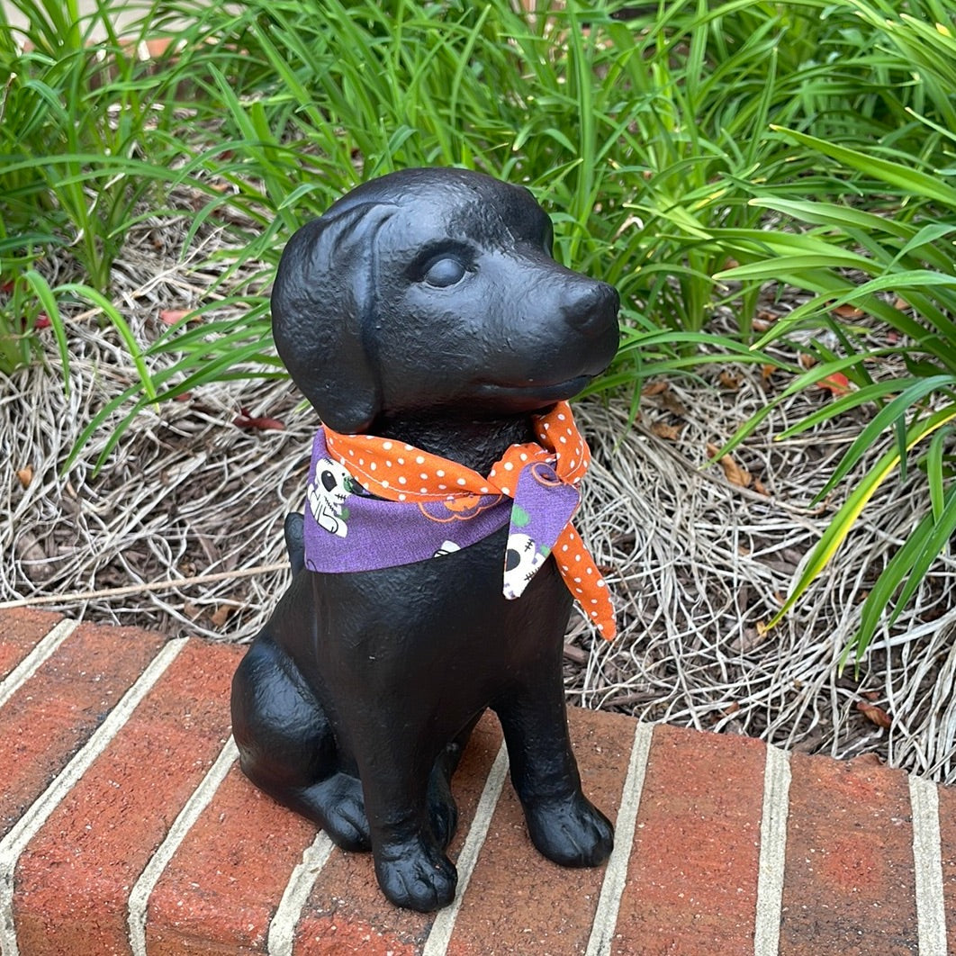 Purple Dog Halloween - Polka Dot