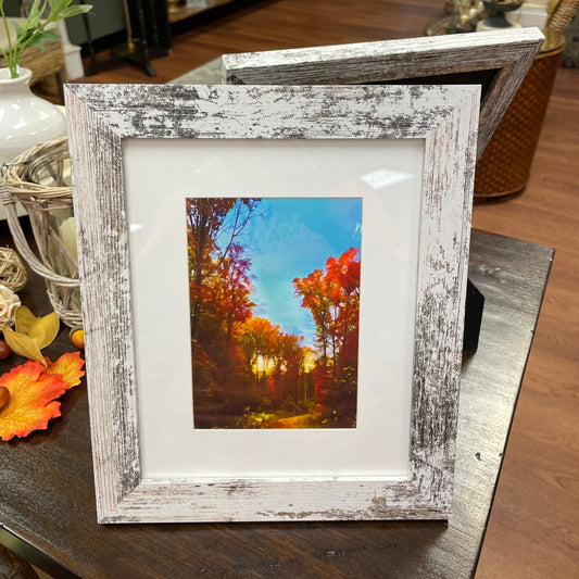 Fall  Painted Trees Art