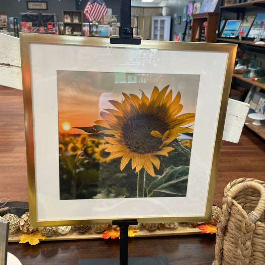 Sunflower in Glass Frame