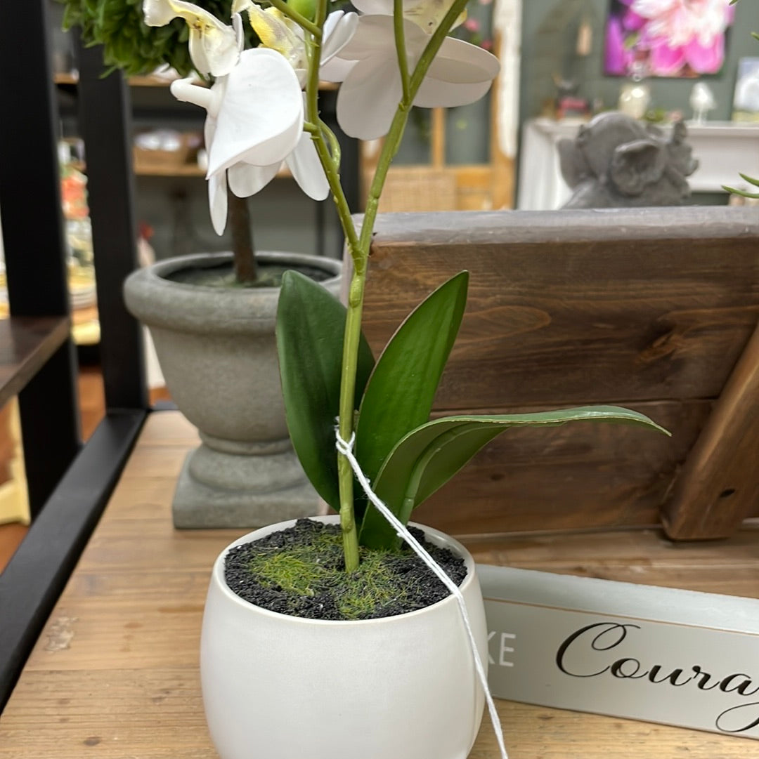 Real Touch Orchid Sm White Pot