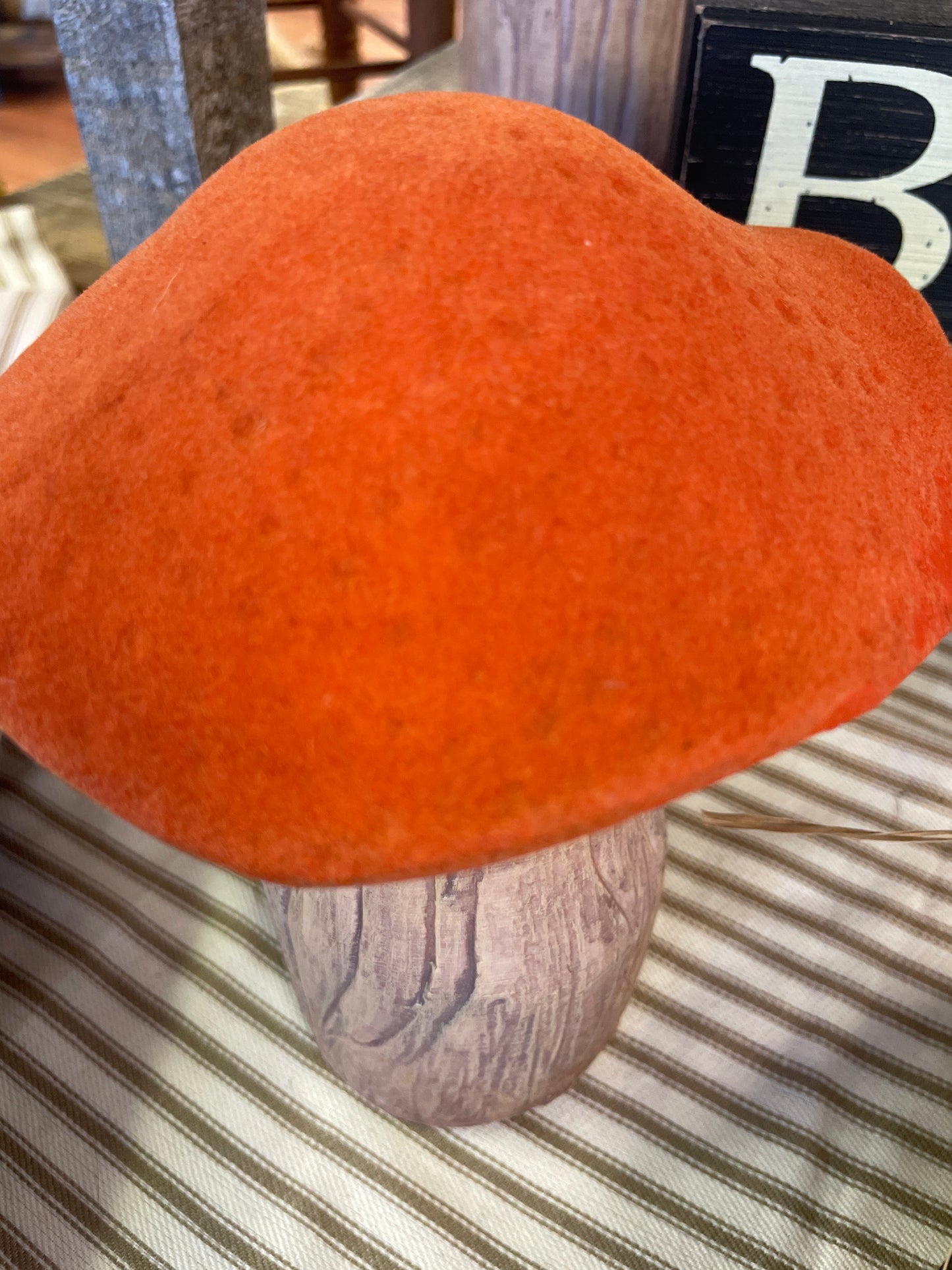 Orange Capped Mushroom