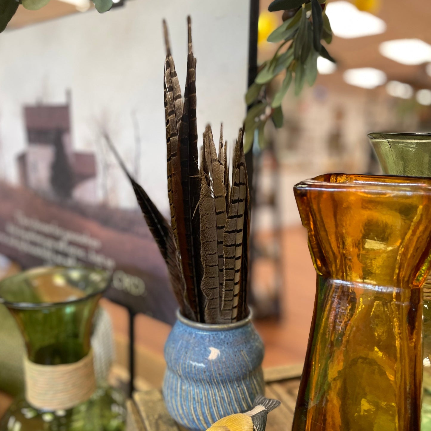 Pheasant Feathers - set of 5