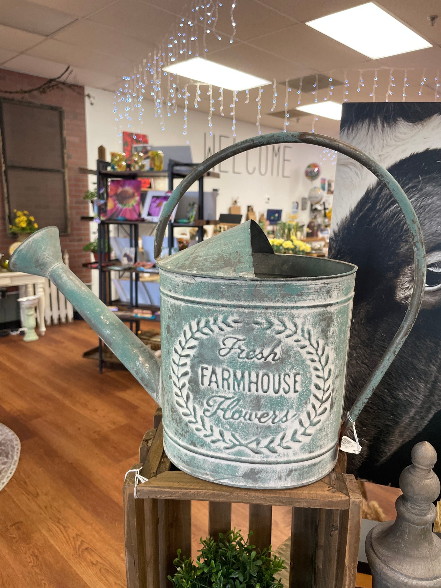 Farmhouse Watering Can