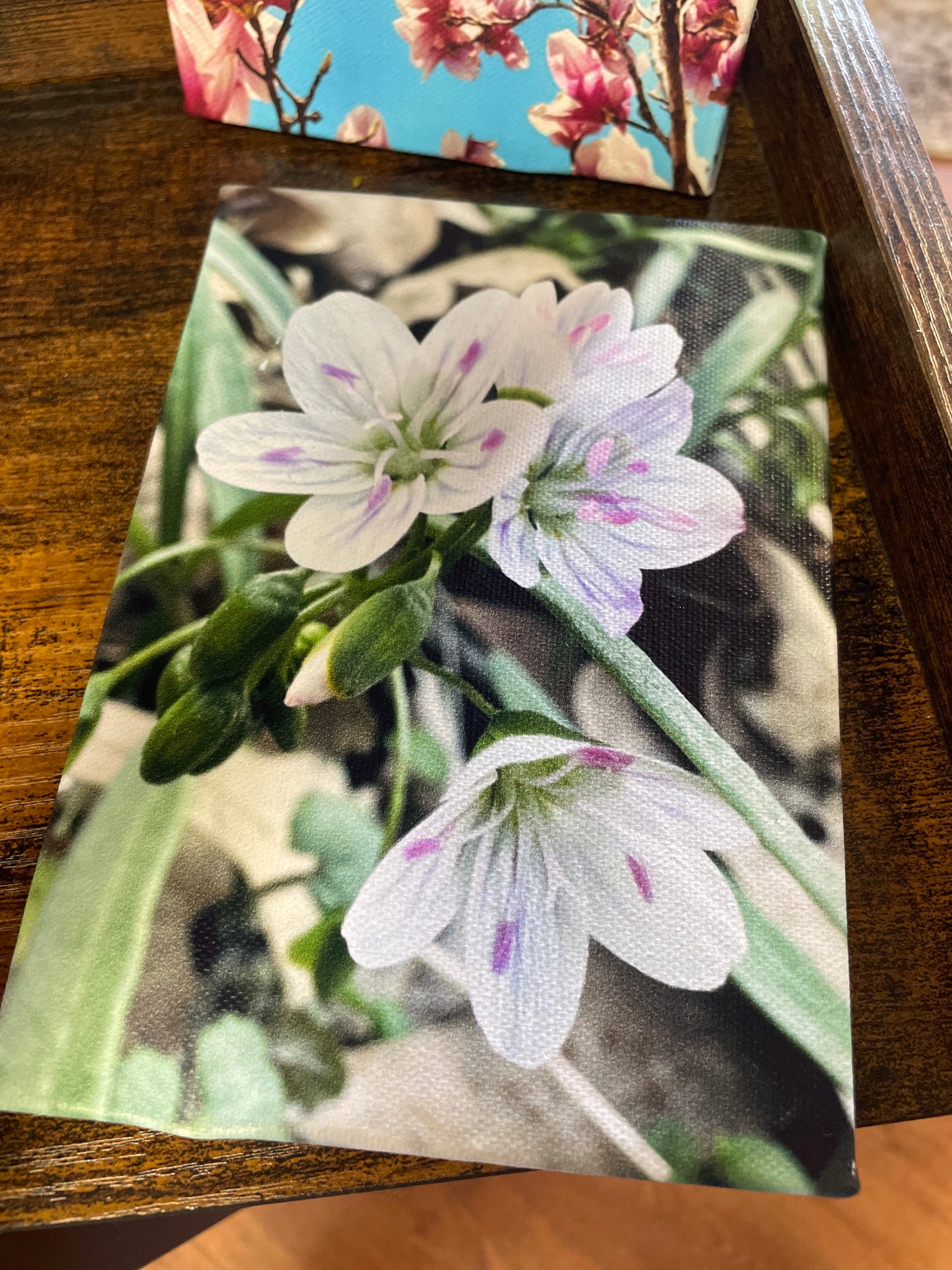 Mini Canvas - White flower with Purple