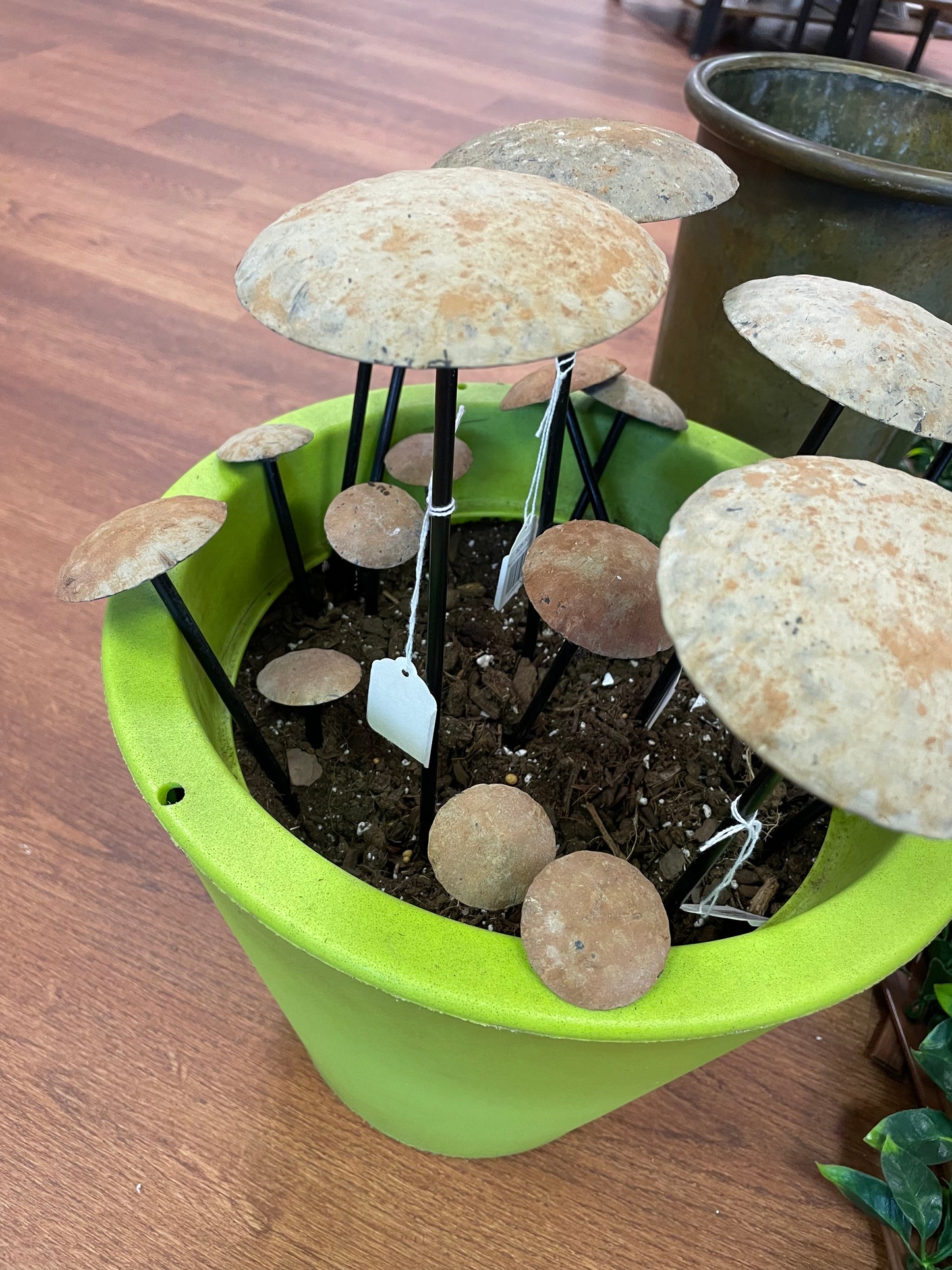 Set of 3 Mushrooms -