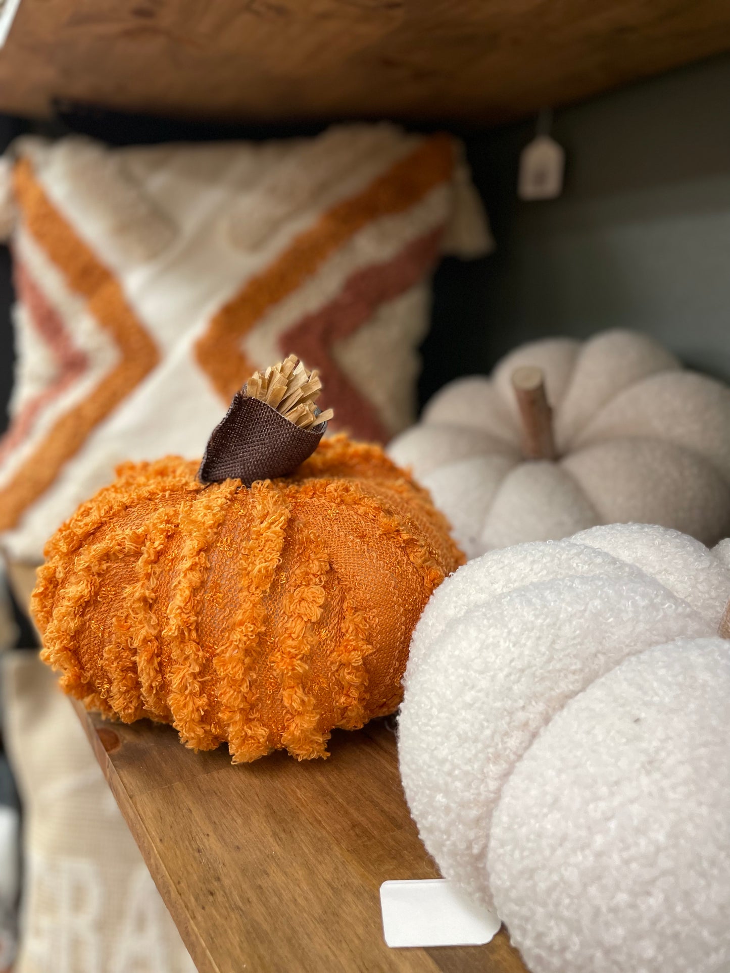 Pumpkin with Raffia Stem