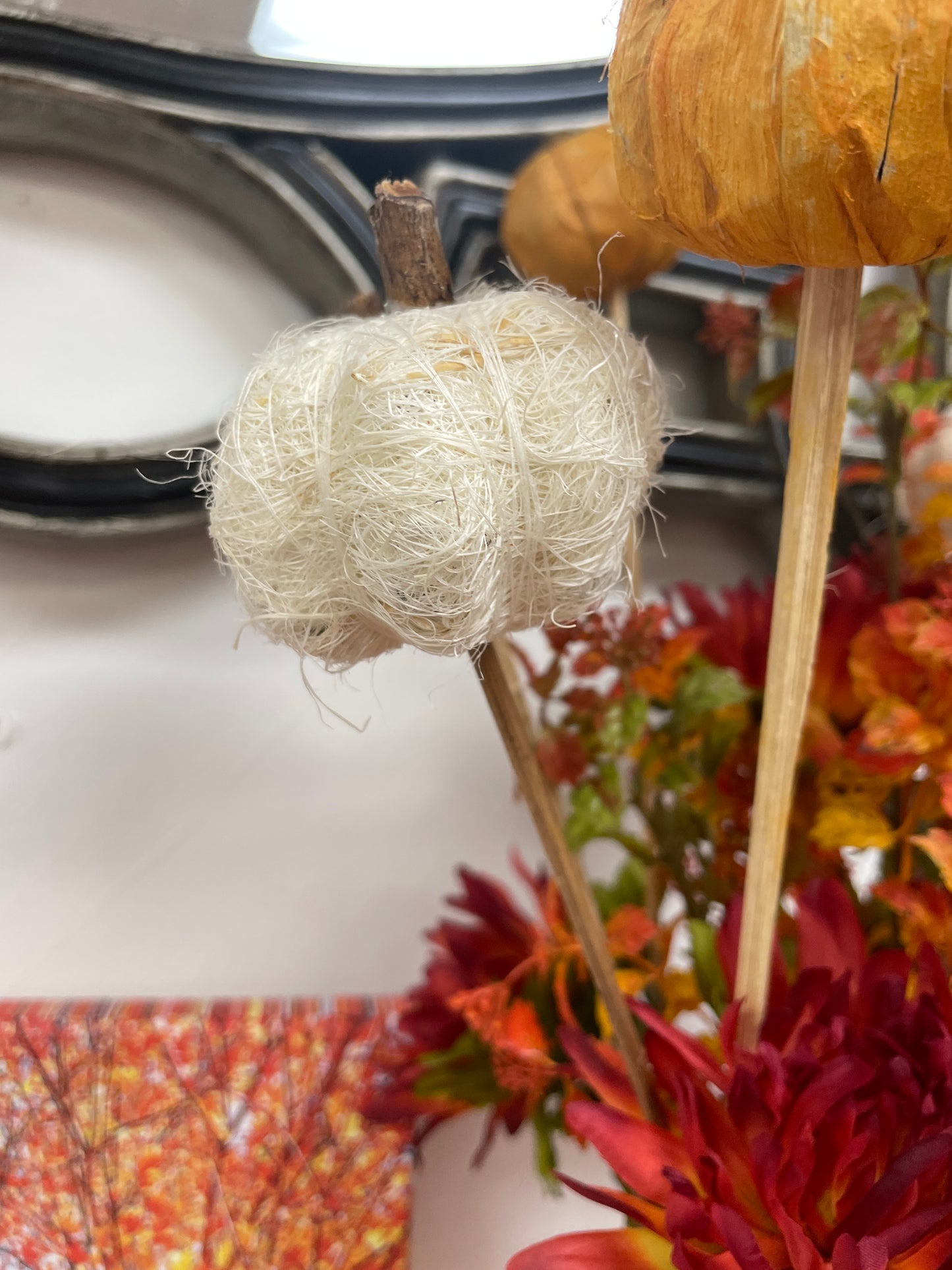 Pumpkin Pick - white