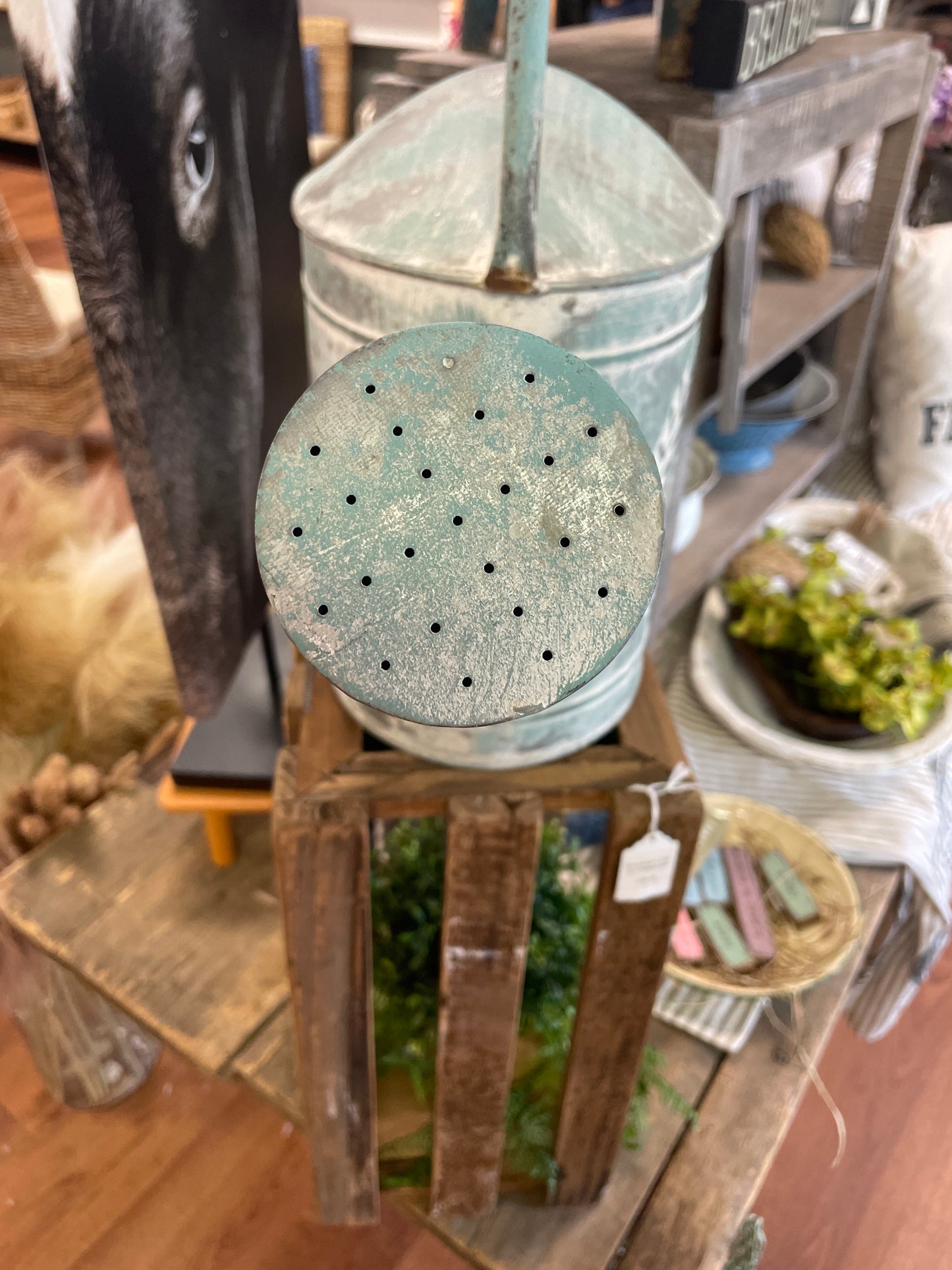 Farmhouse Watering Can