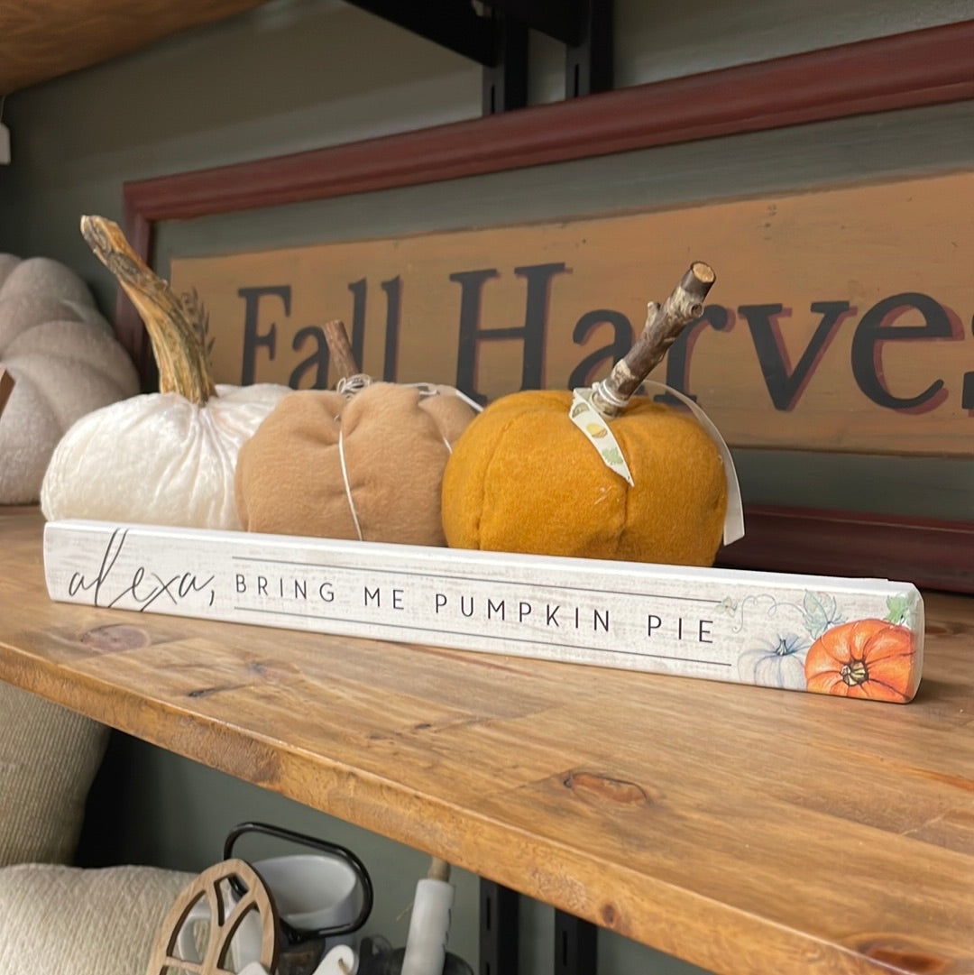 Alexa Pumpkin Pie