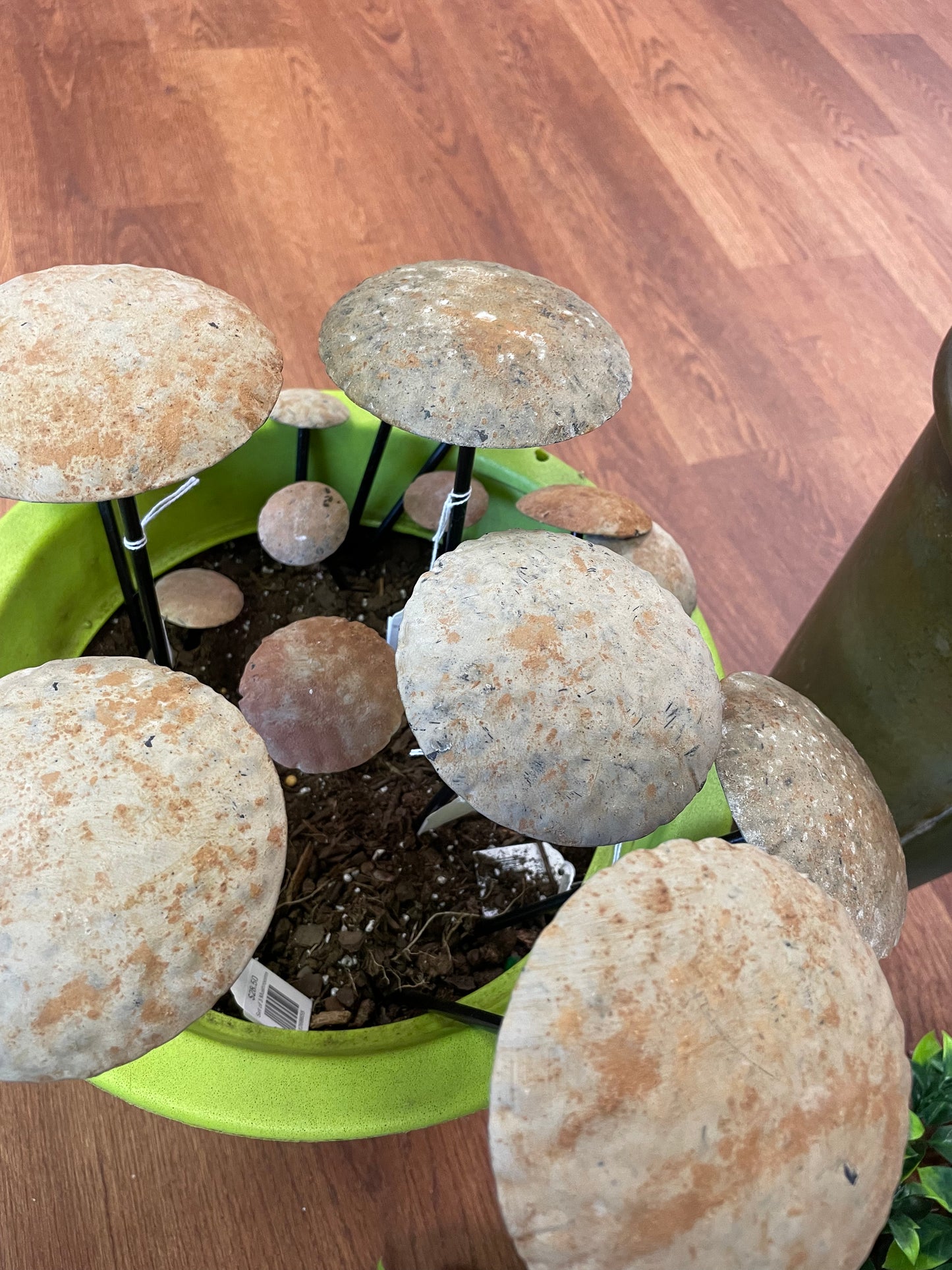 Set of 3 Mushrooms -