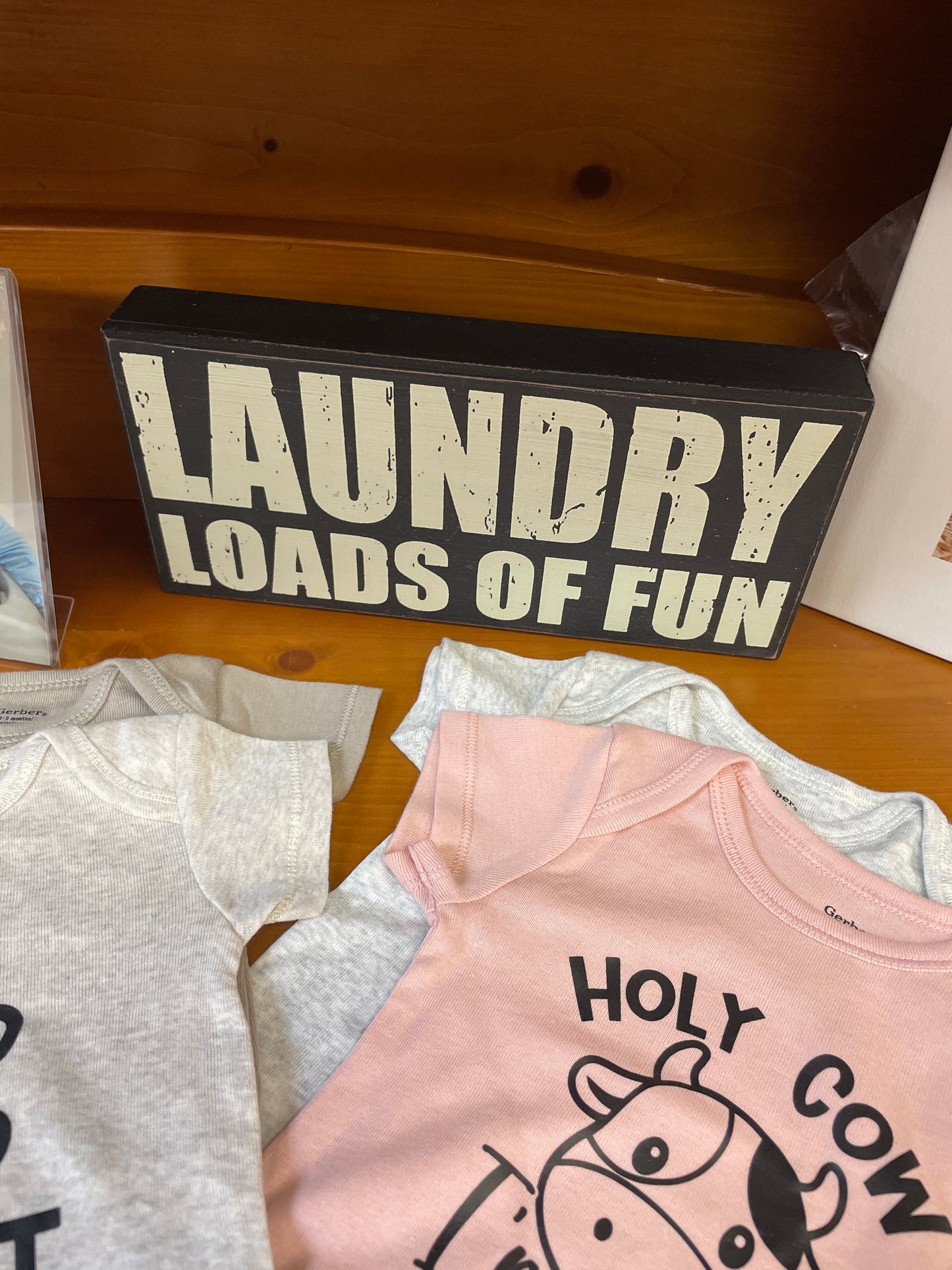 Laundry Loads of Fun - word block