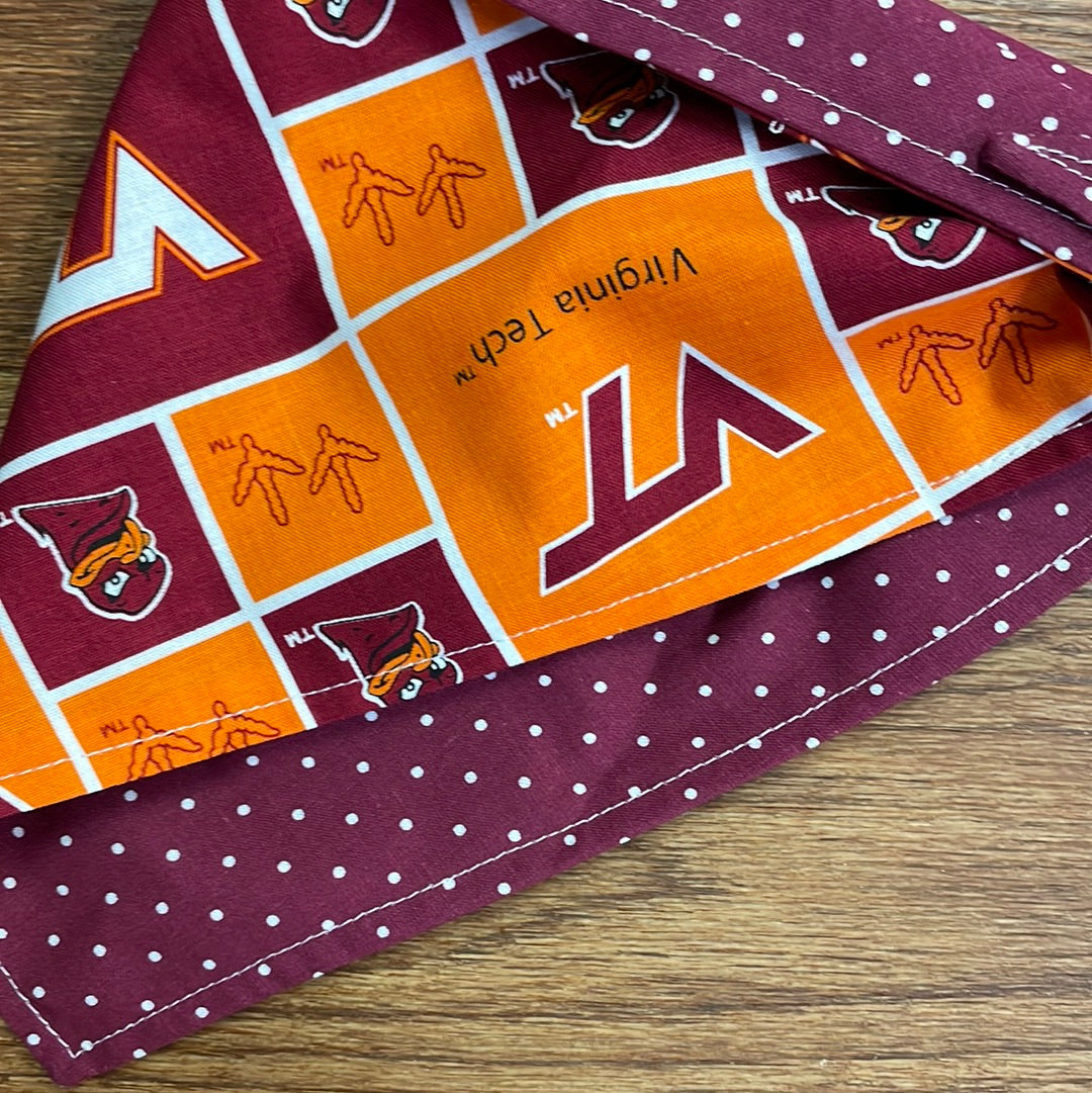 Bandana VT (college)