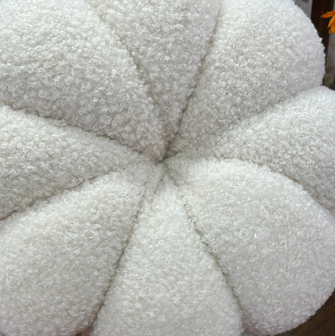 Cozy White Pumpkin with Birch Stem