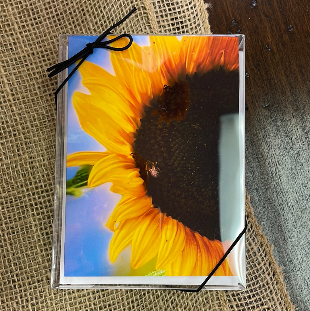 Boxed Card Set - Flower