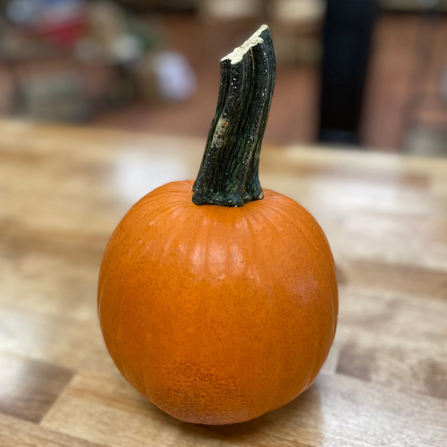 Sept 13th Fall Flower Workshop