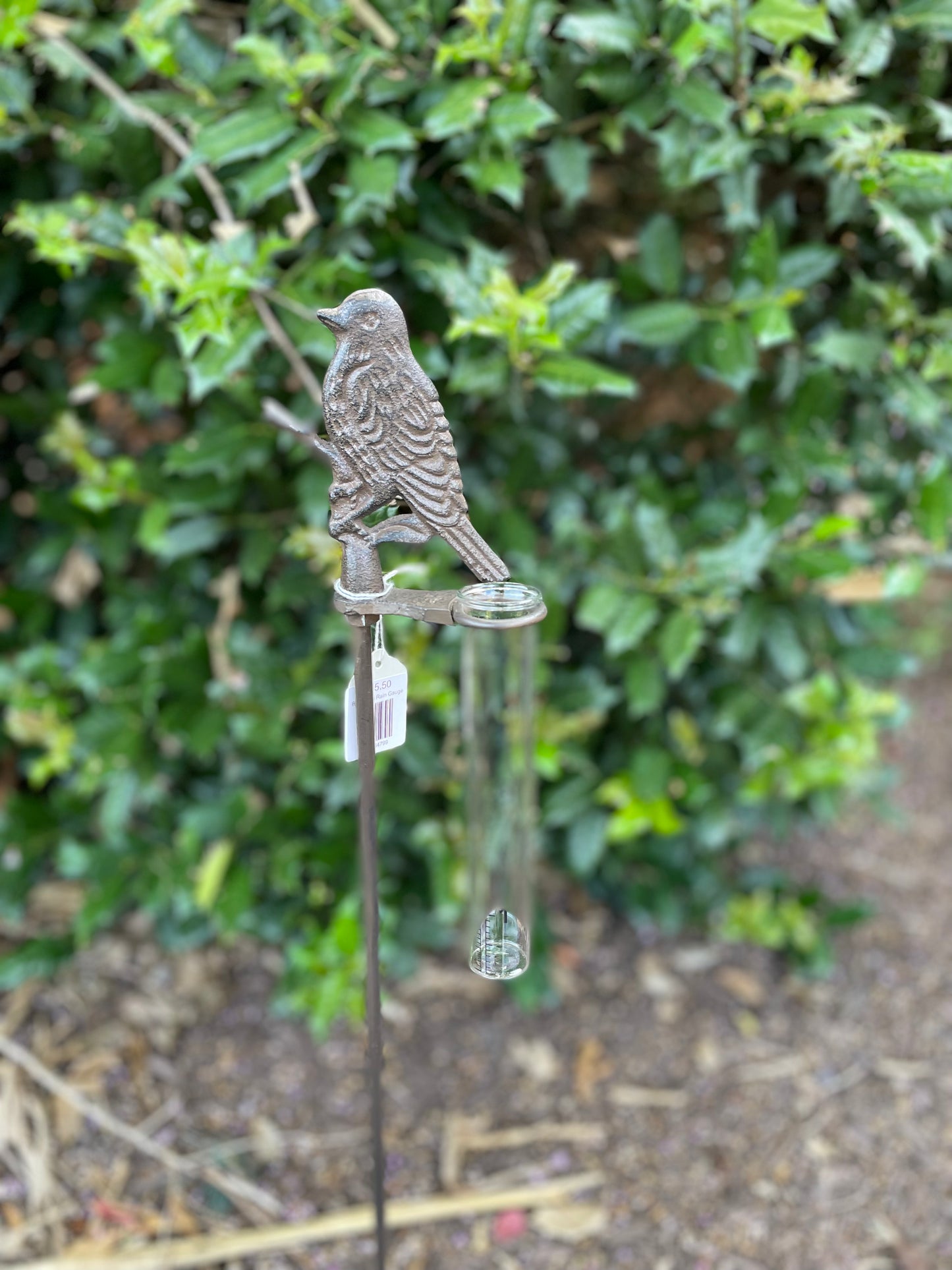 Bird Song Rain Gauge