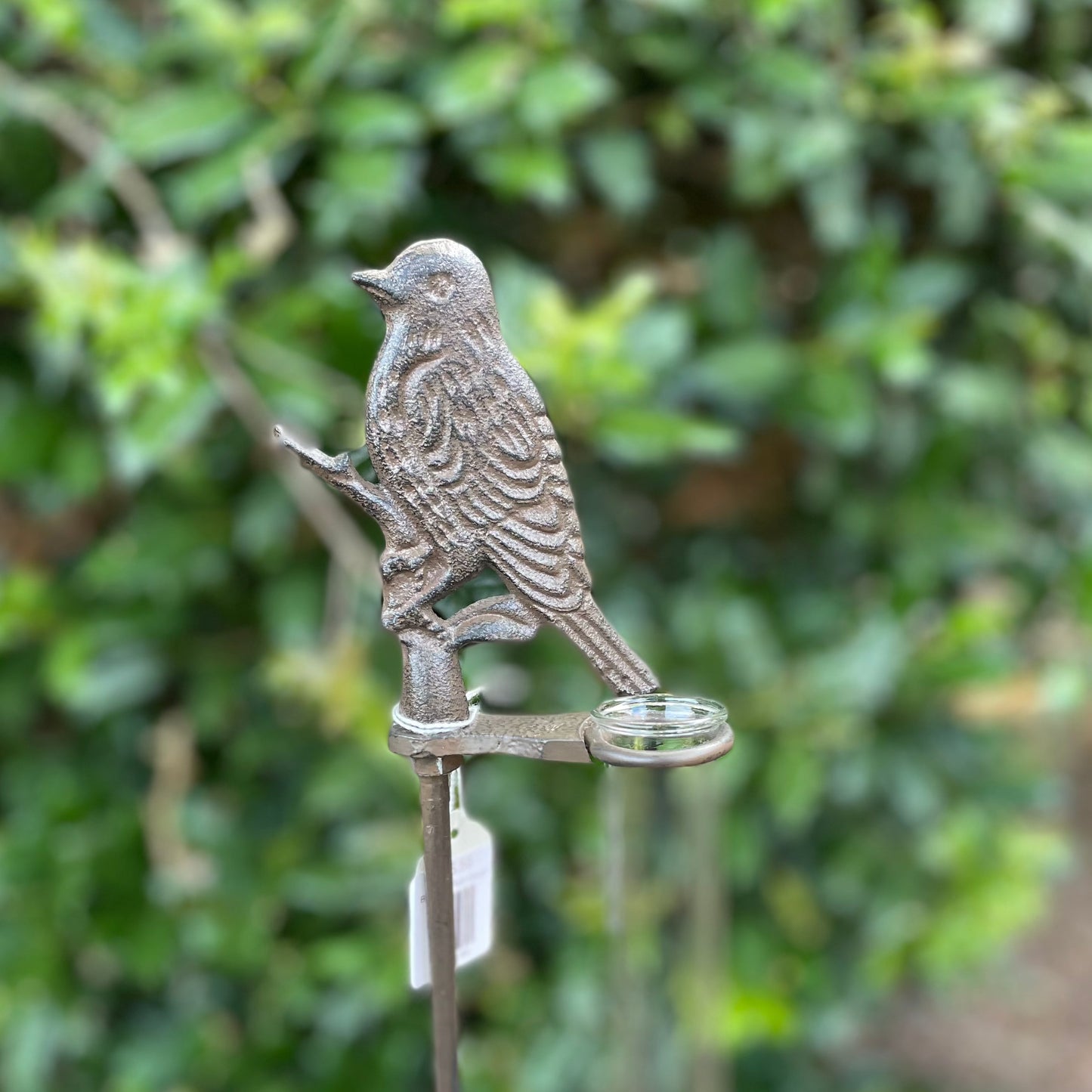 Bird Song Rain Gauge
