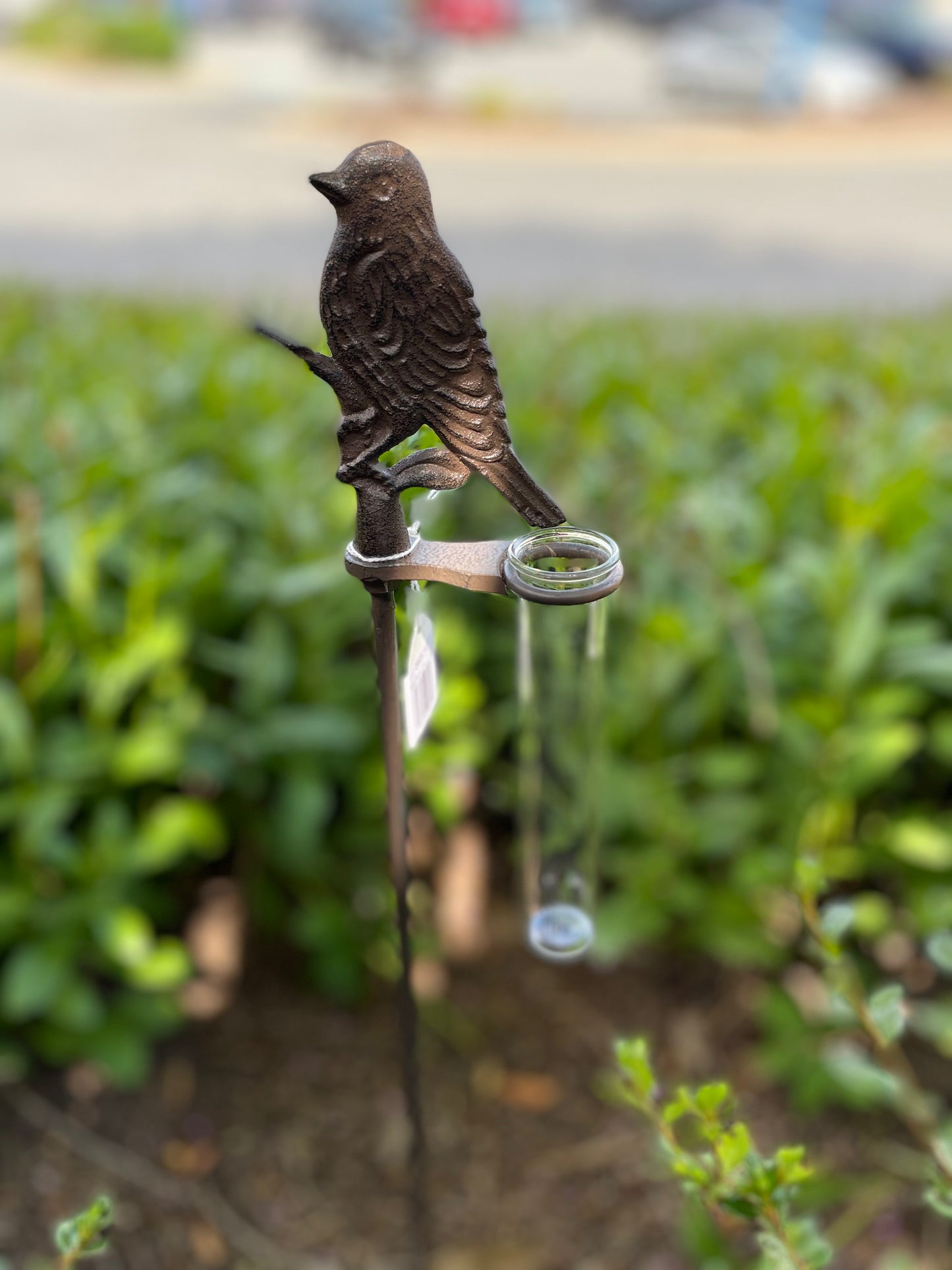 Bird Song Rain Gauge