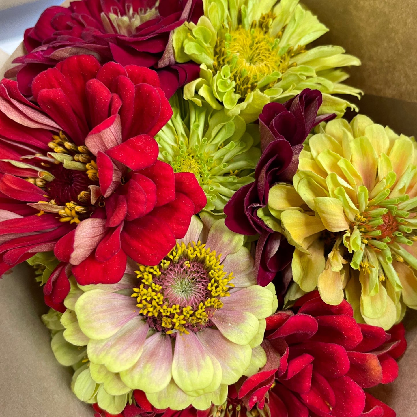 Sept 13th Fall Flower Workshop