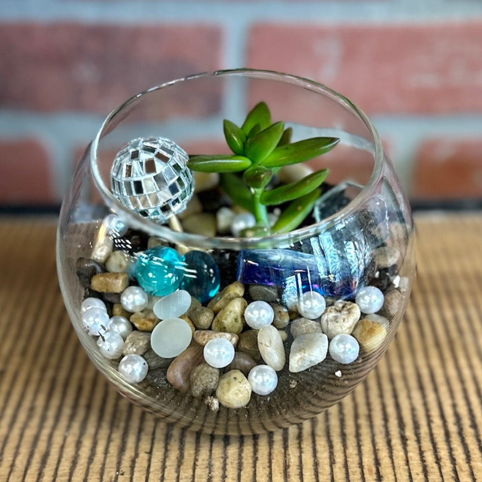 Succulent Introduction Workshop