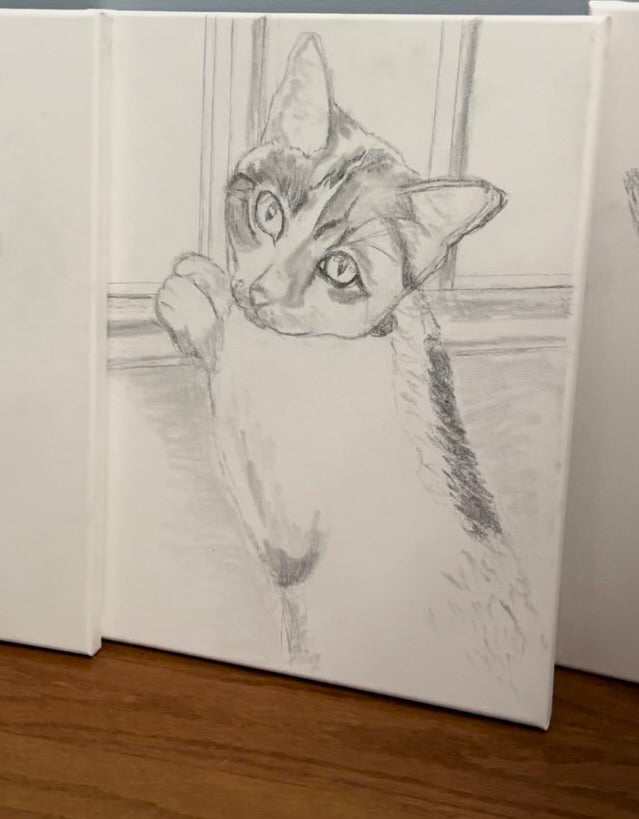 Nov 30th - Sip Shop & PAINT Your Pet