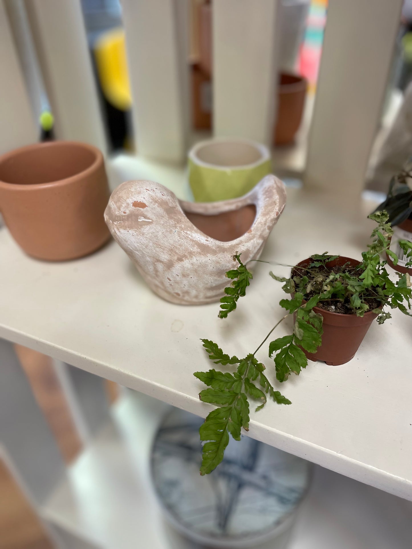 Ceramic Bird Small Pot -