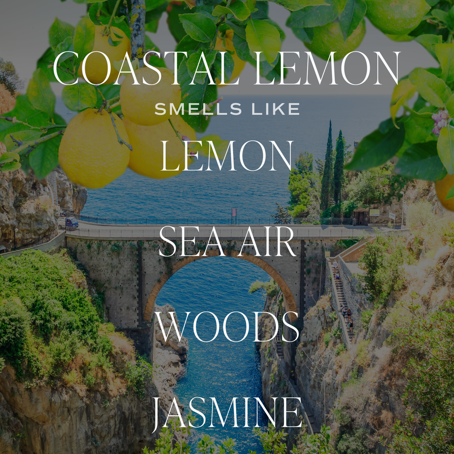 *NEW* Coastal Lemon 12 oz Candle - Home Decor and Gifts