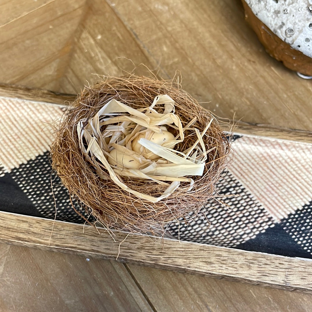 Itty bitty nests with eggs