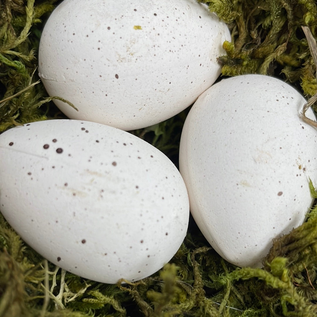 Wooden Nest with Moss