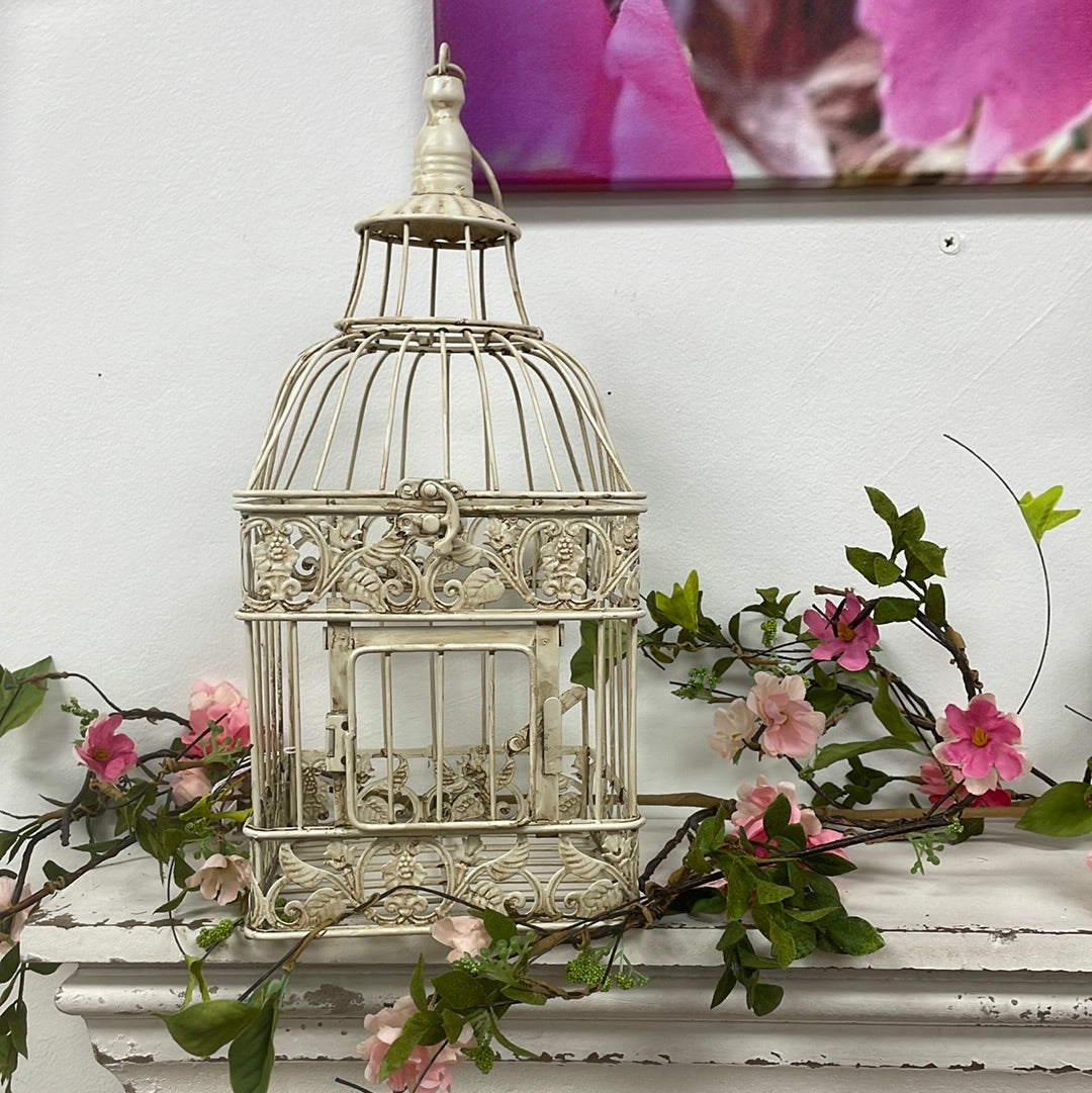 Nested Birdcage SM